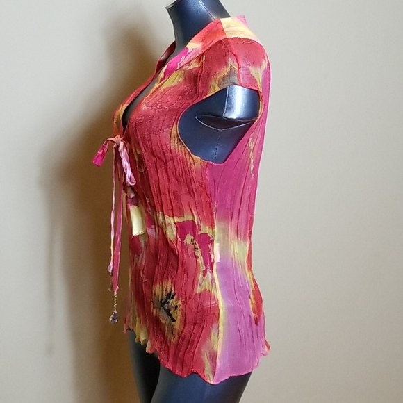 Stunning Roberto Cavalli Multicolor Sheer Silk Top - Picture 4 of 8